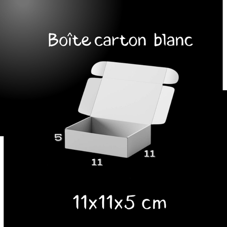 PACK 10  unités boite carton blanc 11x11x5 CM