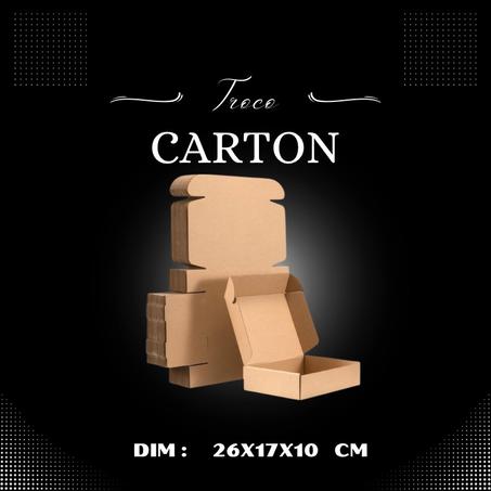 Pack 10 unités Boite carton 26x17x10 cm