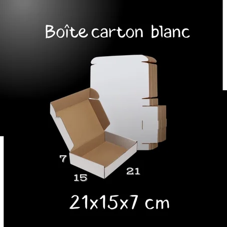 PACK 10 unités boite carton BLANC 21x15x7 CM