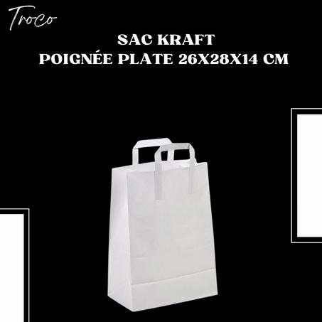 Pack 10 Sac Kraft poignées plate 26x28x14 cm