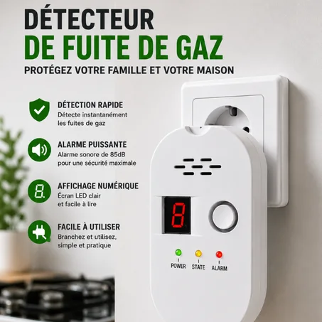 Détecteur de fuite de gaz avec alarme 85 dB
