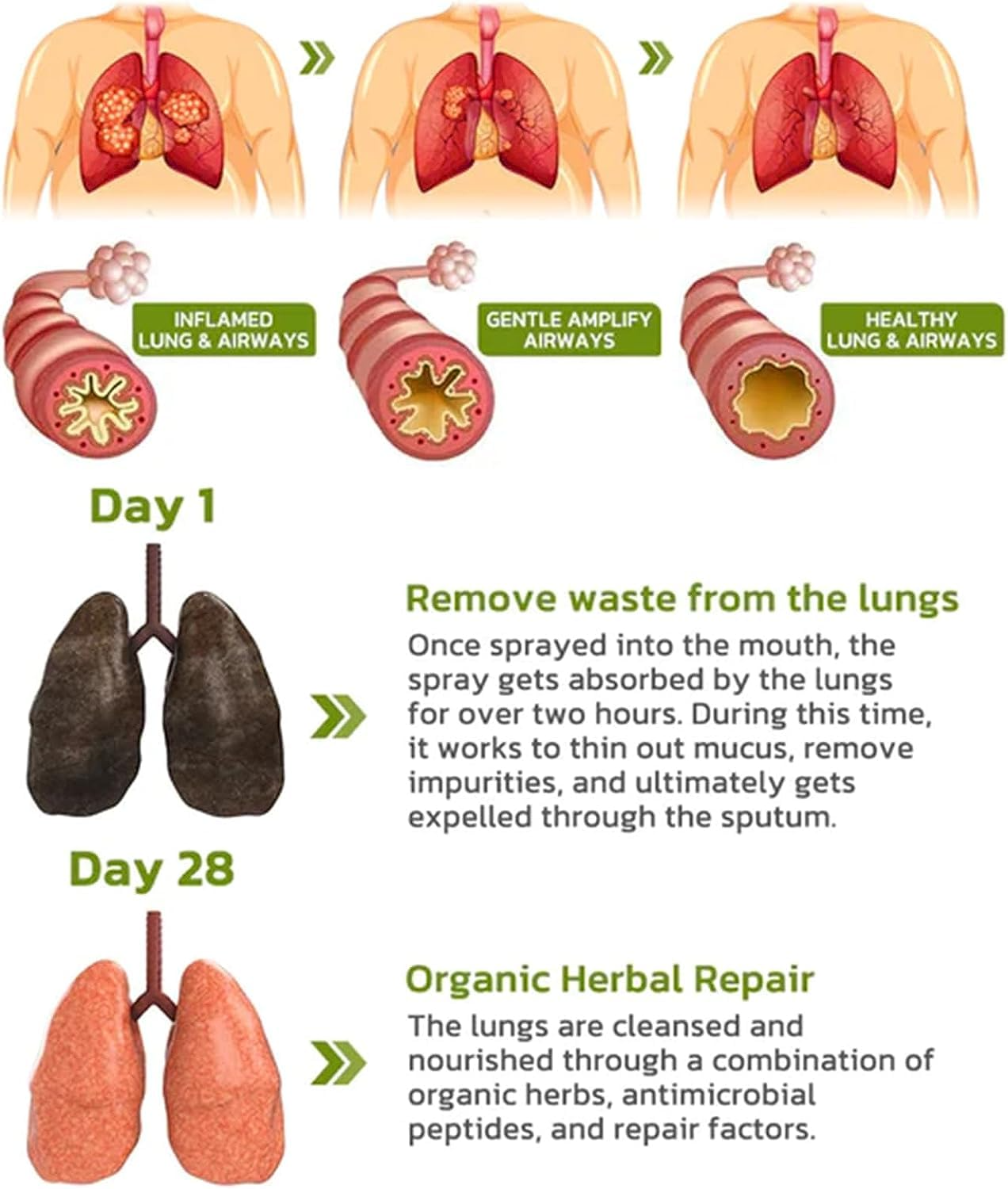 بخاخ لدعم الرئة والجهاز التنفسي
