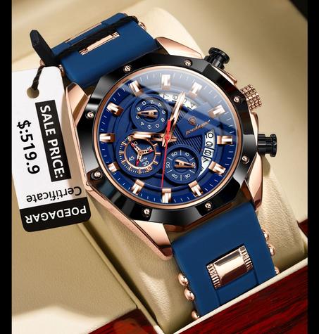 Montre de Prestige pour Homme .