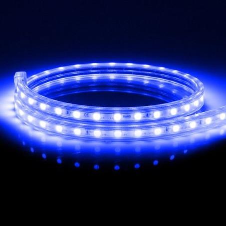 Ruban LED Bleu avec fiche d'alimentation -220V- étanche