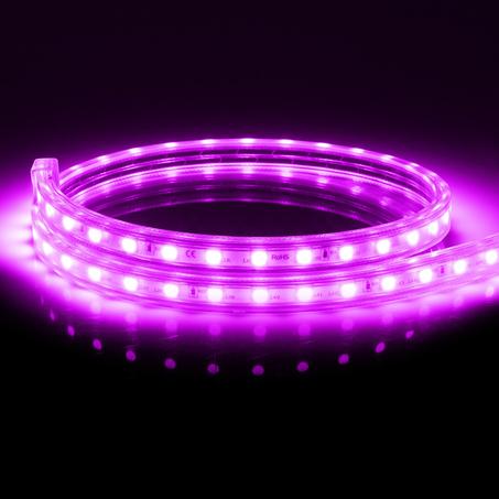 Ruban LED Violet avec fiche d'alimentation -220V- étanche