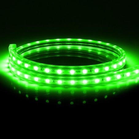 Ruban LED Vert avec fiche d'alimentation -220V- étanche