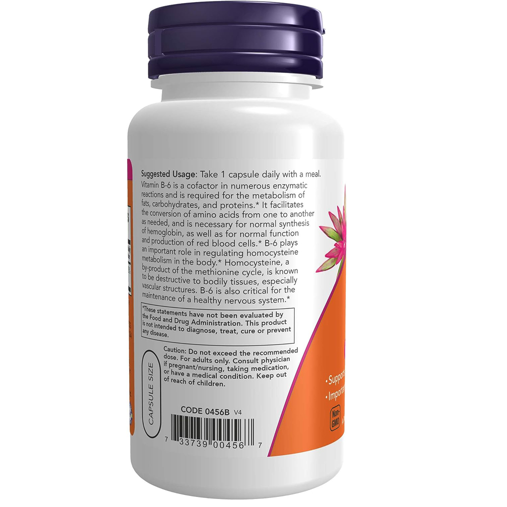 Vitamin B-6 (Pyridoxine HCl) 100 mg
