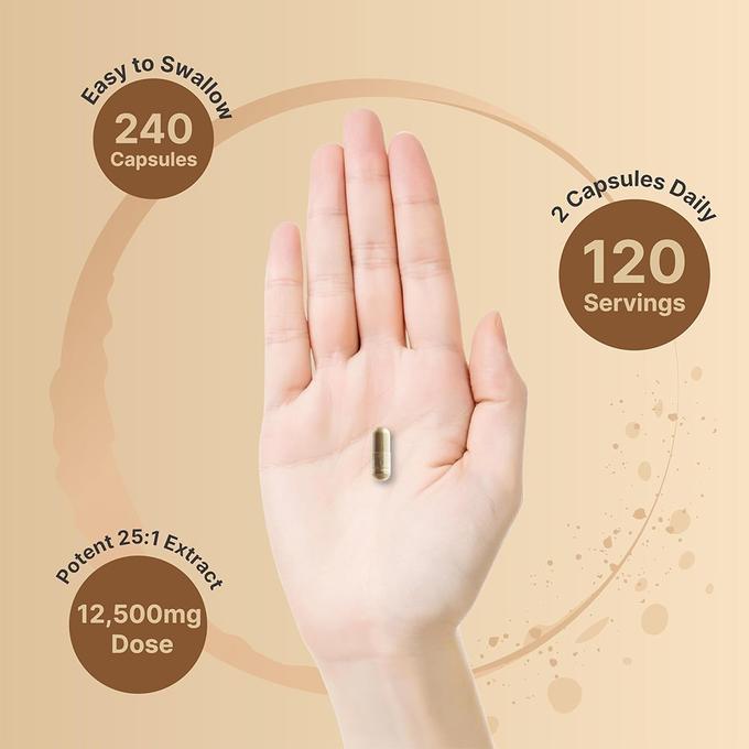 stores/90ce79a2164fc1e210bc42ae04636003/products/zUOt8IZe5PKBCoFtq9BPfoGGuCYOeTnEDGnfDNzB.jpg