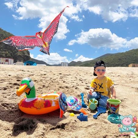 Beach toys