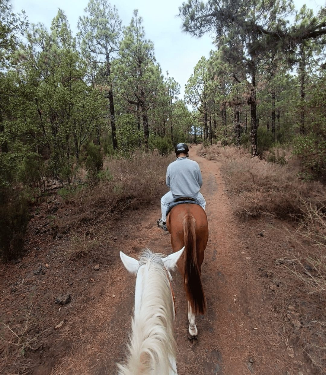 Agadir et Taghazout : balade à cheval de 2 heures sur la plage