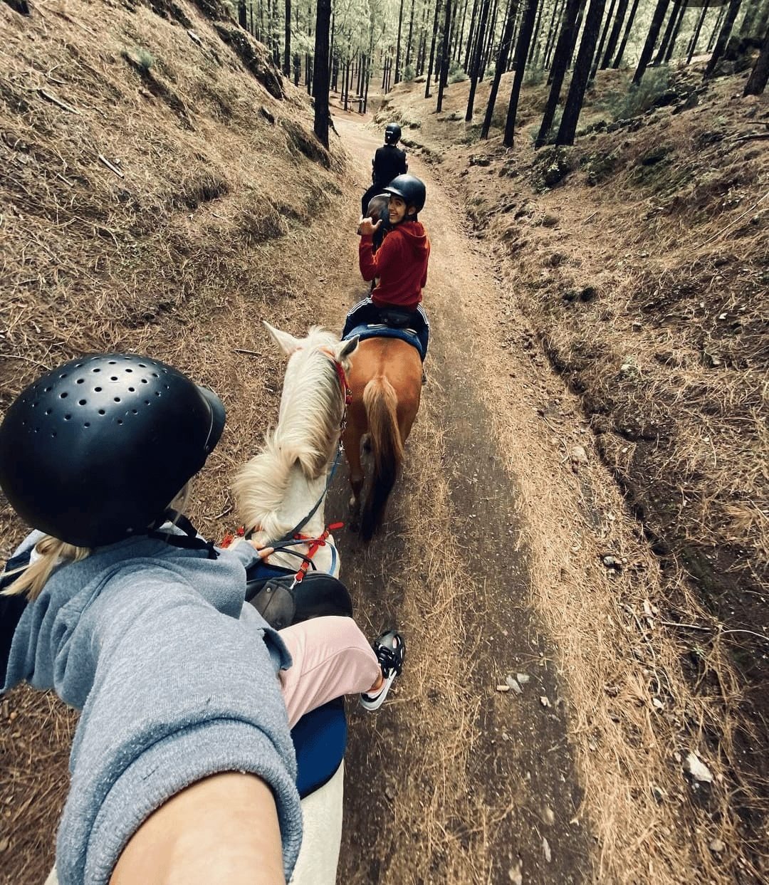 Agadir et Taghazout : balade à cheval de 2 heures sur la plage