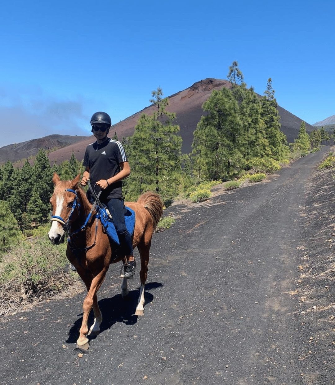Agadir et Taghazout : balade à cheval de 2 heures sur la plage