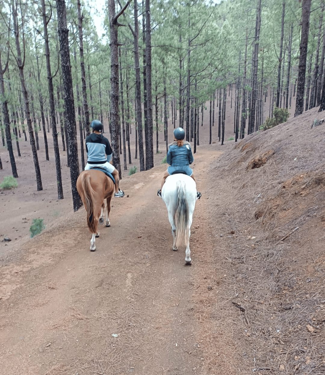 Agadir et Taghazout : balade à cheval de 2 heures sur la plage