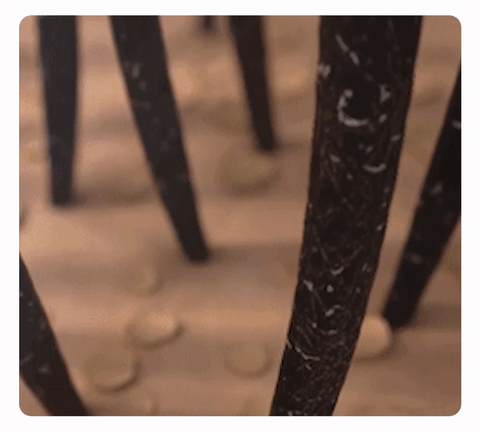 ERAYCEE — Anti-Hair Loss Spray, женьшень, имбирь, черный гриб