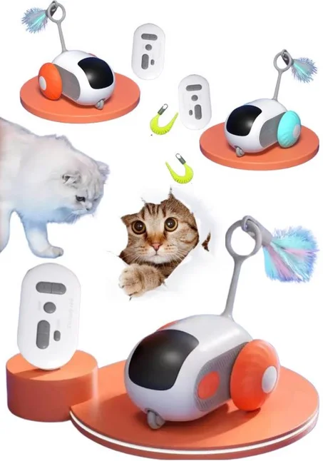 Jouet interactif pour chat