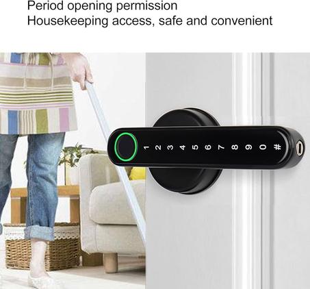 Electric Door Handle