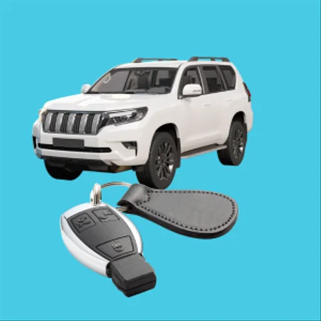 أكسيسوار السيارات - Accessoires de voiture