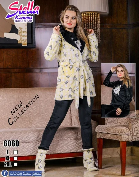 رقم الموديل  6060