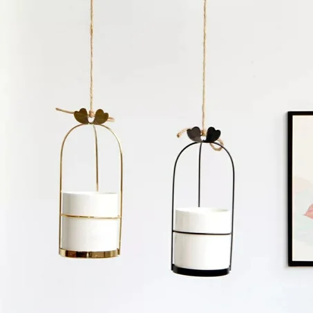 منظم وحامل جولد بورسلين