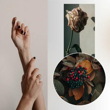 تجربة العافية الكاملة | استثمر في سلامك الداخلي والجسدي