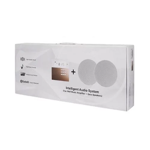 Amplificateur + 2 hauts-parleurs de plafond Enceinte Bluetooth