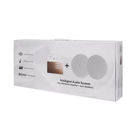 Amplificateur + 2 hauts-parleurs de plafond Enceinte Bluetooth