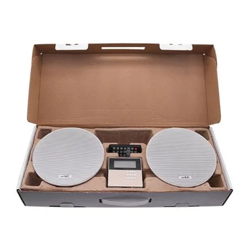 Amplificateur + 2 hauts-parleurs de plafond Enceinte Bluetooth