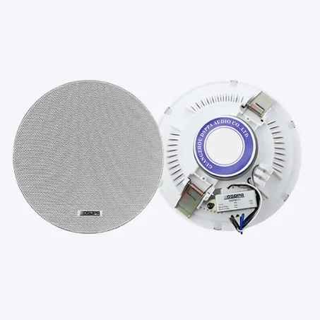 Haut-parleur de plafond 6W D-DSP6011 – Enceinte Encastrable