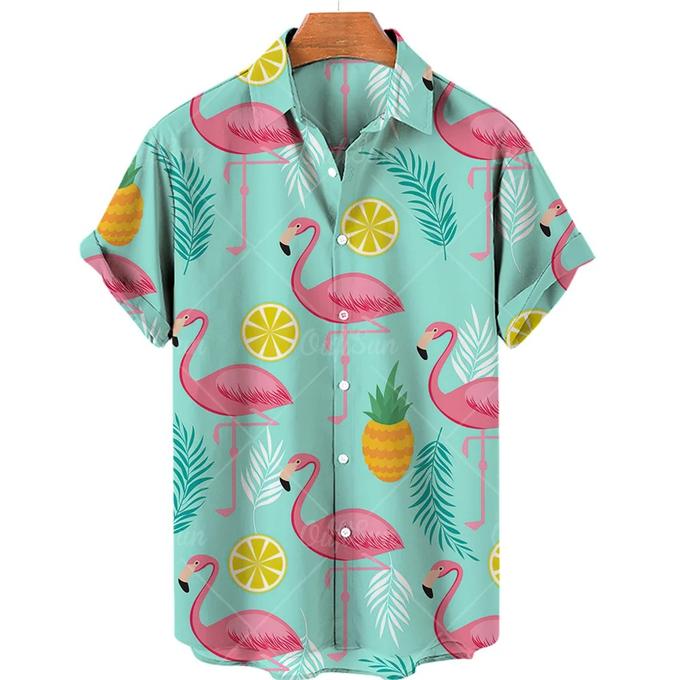 stores/91e380ef51d95d3bfa11ed12840bece7/products/aIivWAmT5cs8nHywyIPEs5UbZizHPmljmEMUo9Xt.jpeg