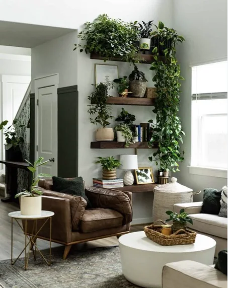 🏡 الأقسام الأساسية