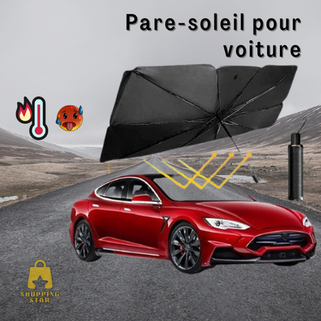 Pare-soleil pour voiture - Original