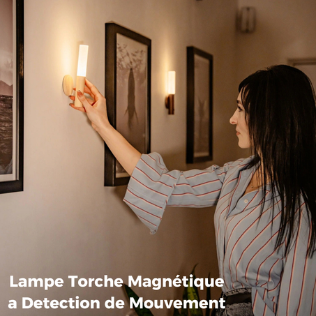 Applique Murale de luxe- Rechargeable avec Détecteur De Mouvement