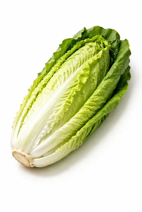 Lechuga romana unidad
