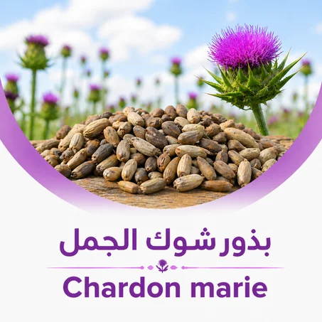 شوك الجمل 500 غرام