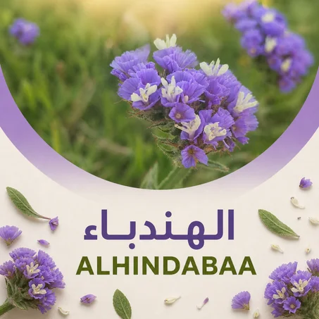 عشبة الهندباء  او القنطريون الورقي |200 غرام