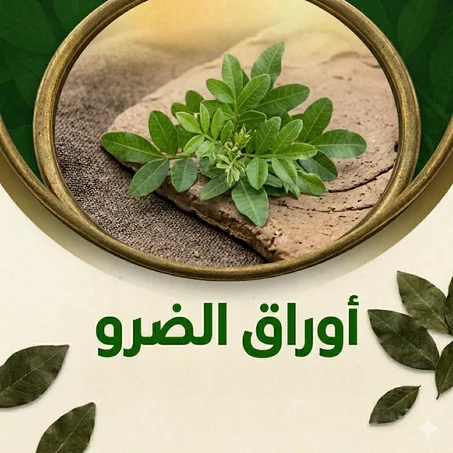 اوراق عشبة الضرو 250 غرام