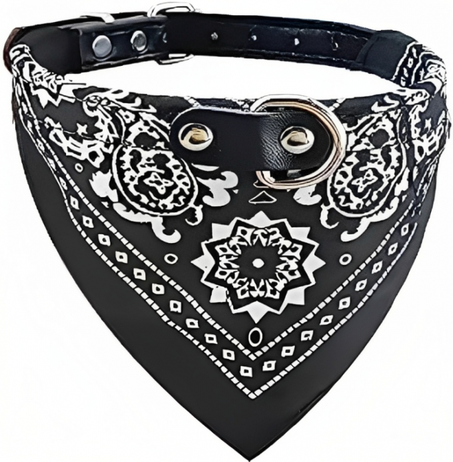 مشط القطط والكلاب