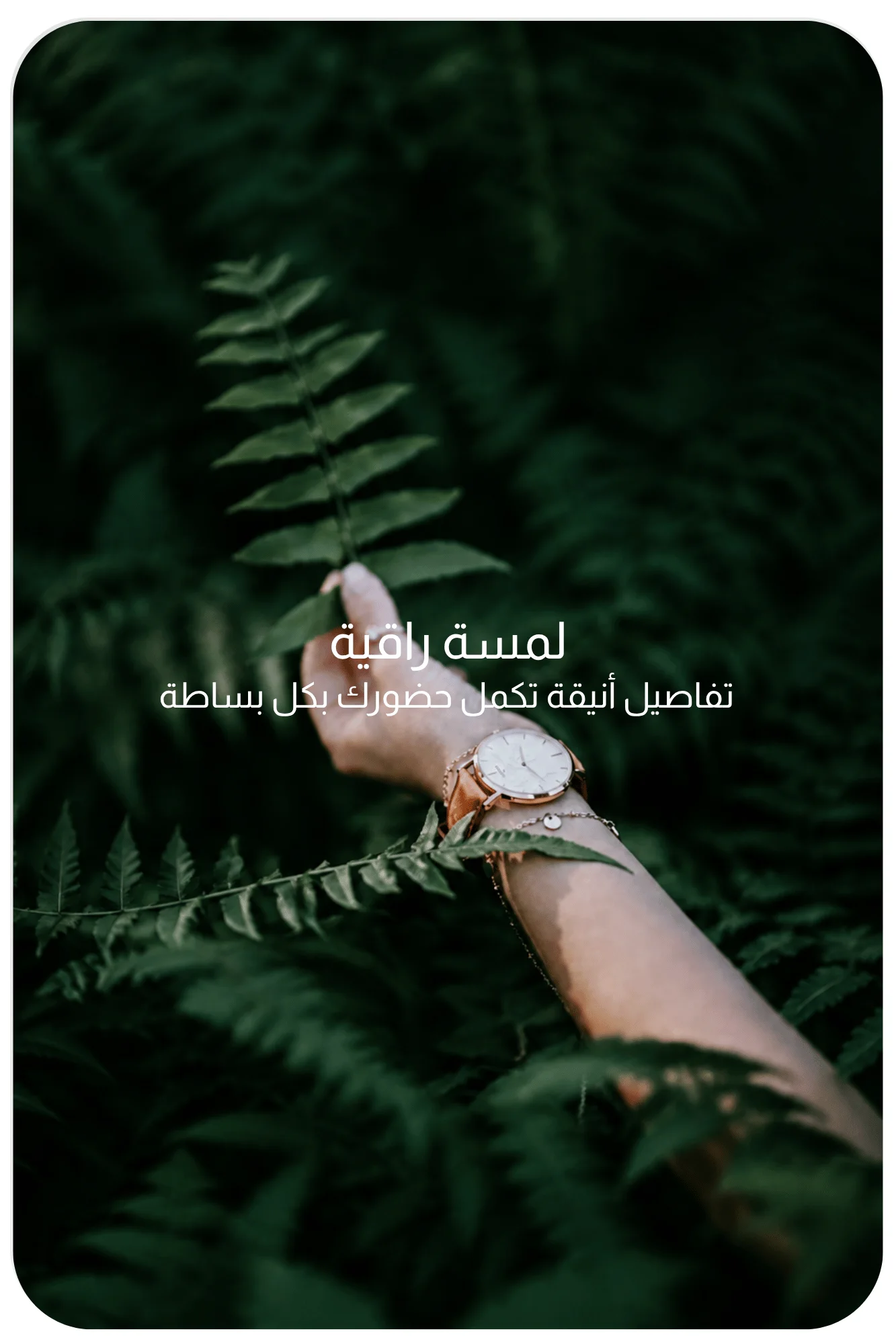 slider-image
