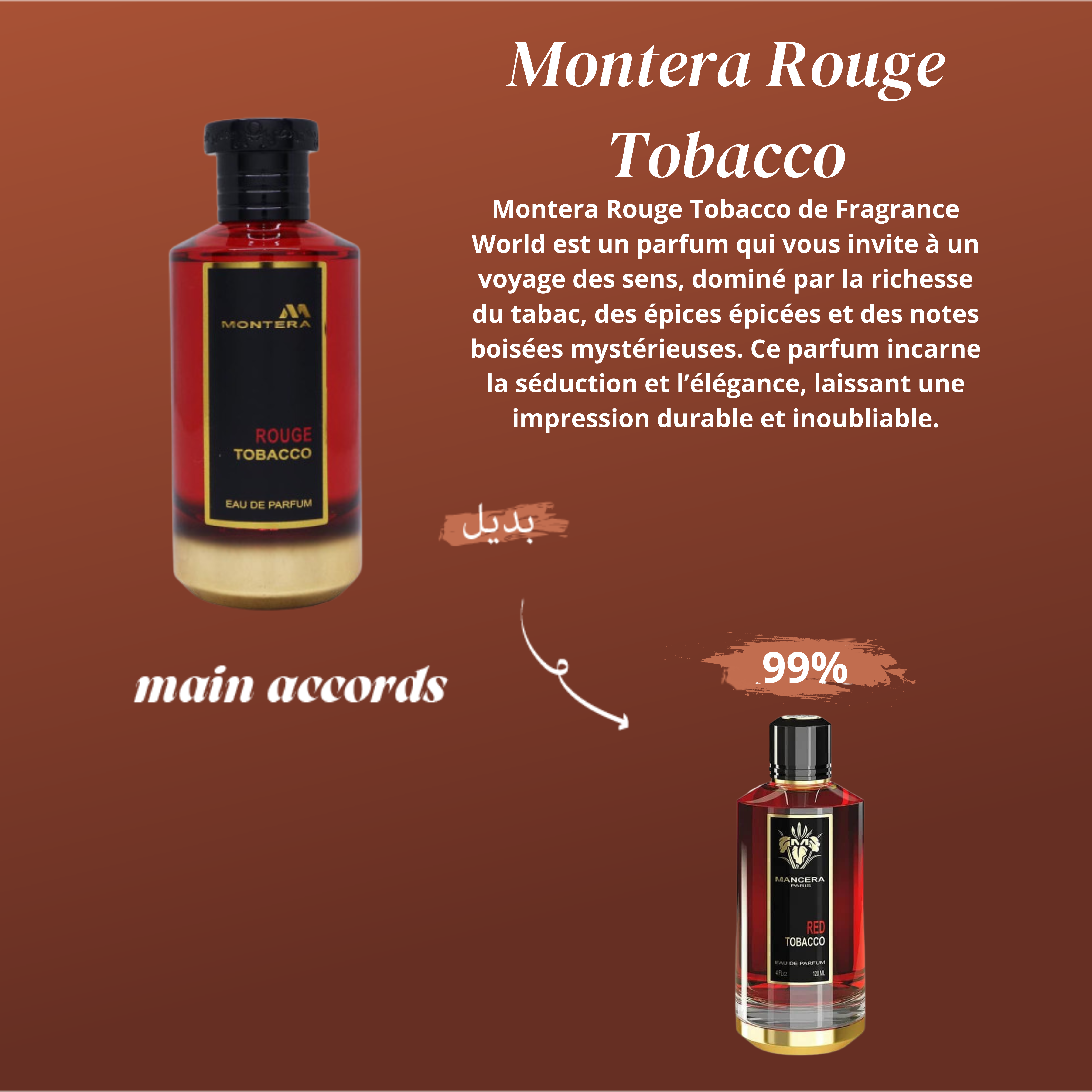 Montera Rouge Tobacco