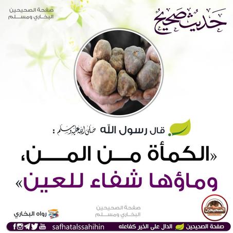 ماء الكمأة لشفاء العين