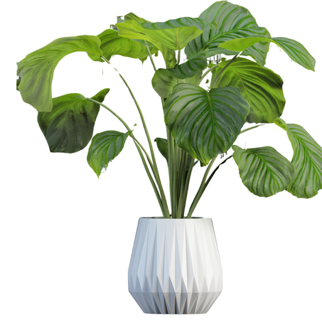 البيت و الحديقة