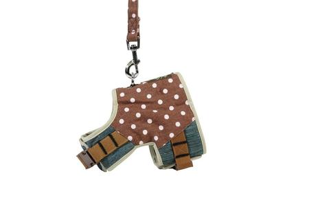 Harnais avec laisse assortie