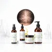 Pack Extra Pousse Chanvre - X4 DENSITÉ + CADEAUX