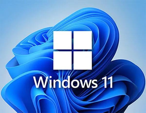 Clé de licence Windows 11 Famille