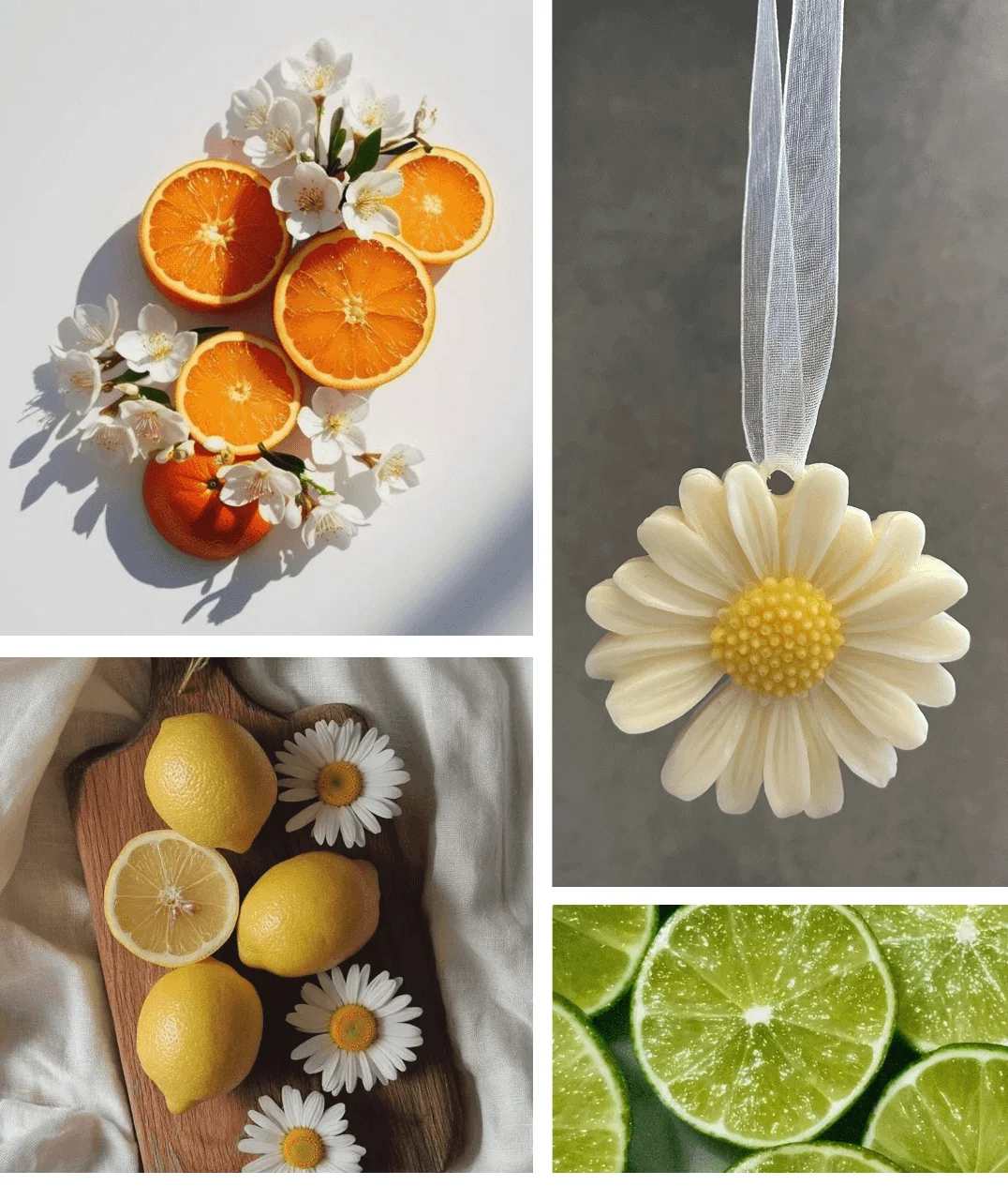 2 Médaillons parfumés - Riad secret (2-4 unités)