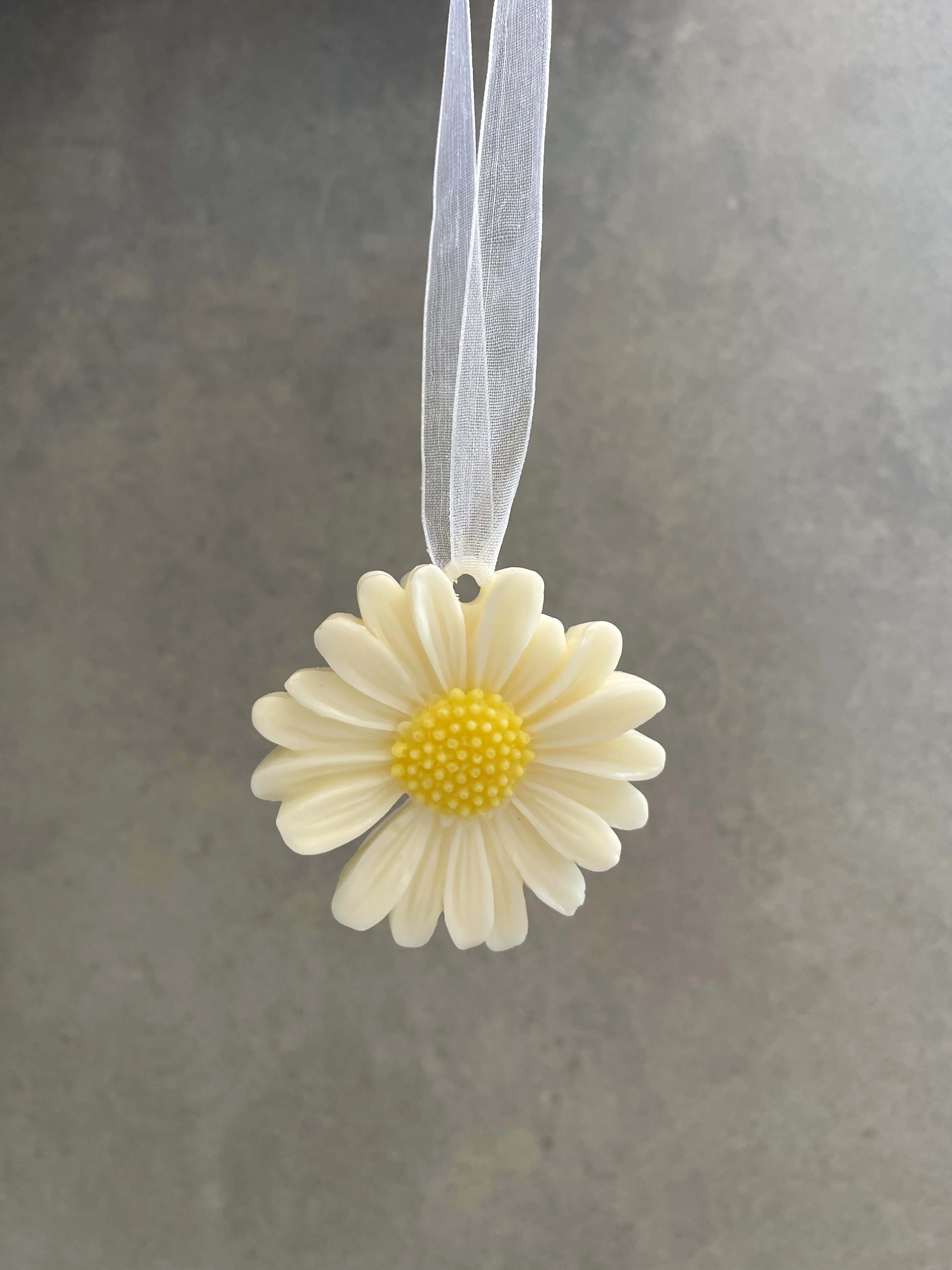 2 Médaillons parfumés - Riad secret (2-4 unités)