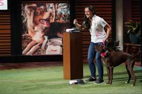 لعبة المطاردة السريعة للكلاب