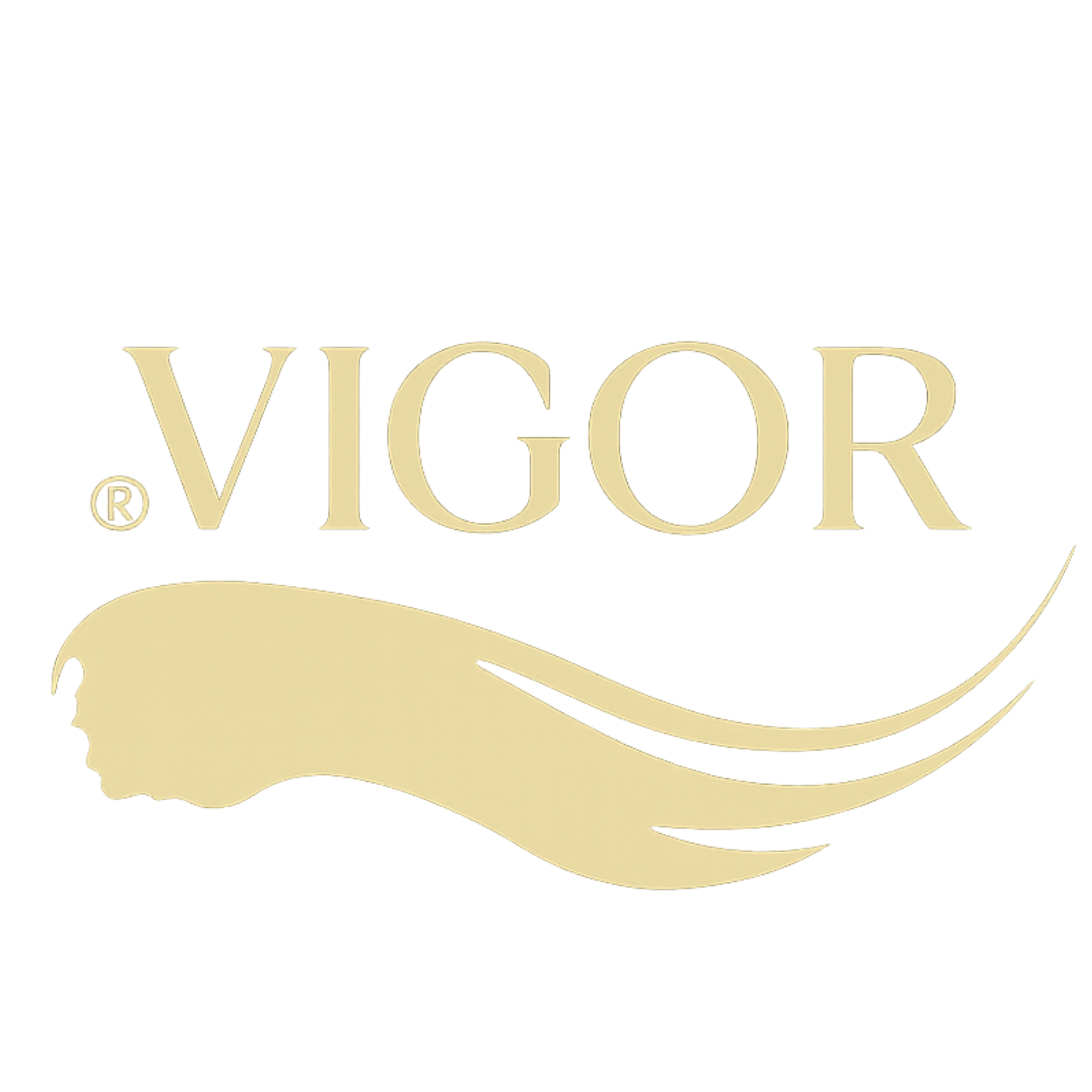Vigor.ma