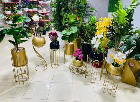 🌺 VASES & FLEURS & Mur Vegetal