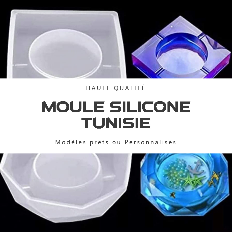 moule silicone tunisie logo